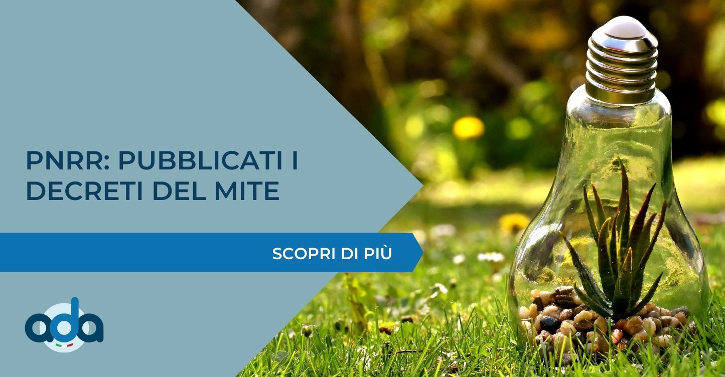 copia-di-news-1 (2)