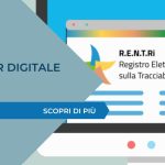 Slide su FIR digitale