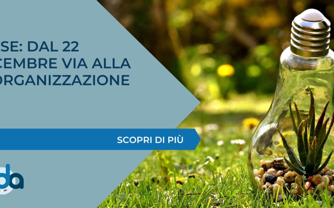 MASE: DAL 22 DICEMBRE VIA ALLA RIORGANIZZAZIONE